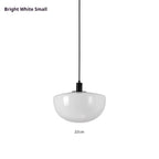 French Designer Bedside Pendant Lamp