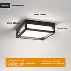 Ultra-Thin Outdoor Ceiling Light